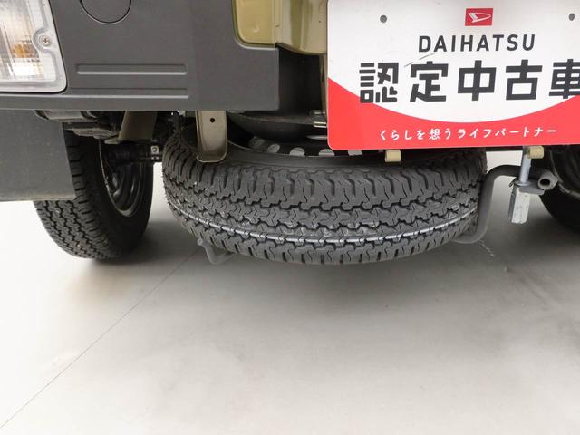 ハイゼットトラックジャンボエクストラ（愛知県）の中古車