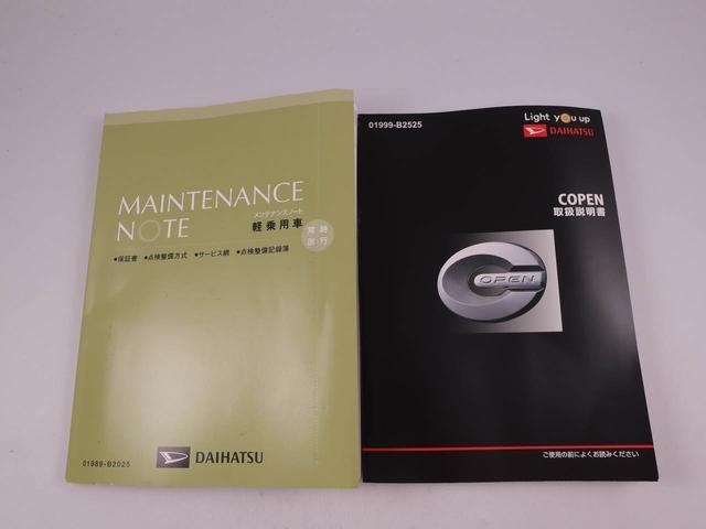 コペンローブ（愛知県）の中古車