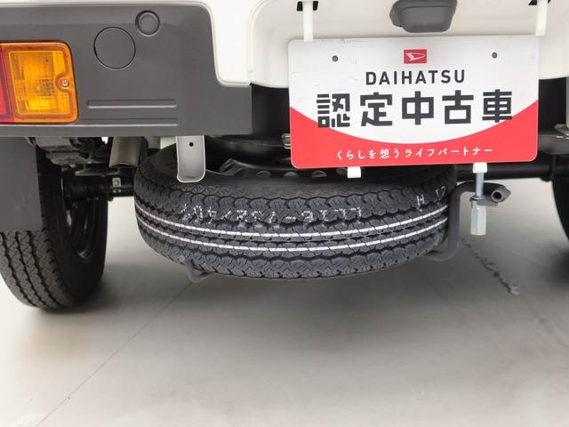 ハイゼットトラックスタンダード（愛知県）の中古車