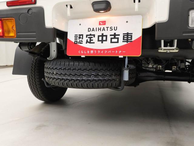 ハイゼットトラックスタンダード（愛知県）の中古車