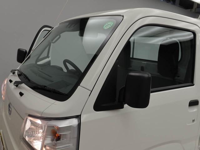 ハイゼットトラックスタンダード（愛知県）の中古車