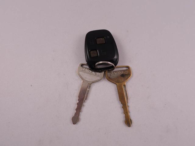 ハイゼットトラックハイルーフオートマ（愛知県）の中古車