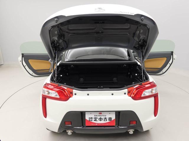 コペンローブ（愛知県）の中古車