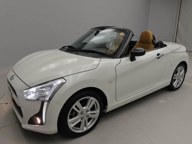 コペンローブ（愛知県）の中古車
