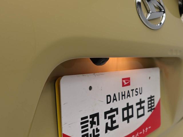 タントファンクロス（愛知県）の中古車