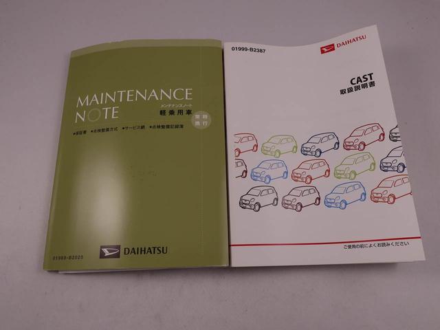 キャストスタイルＧ　ＳＡII（愛知県）の中古車