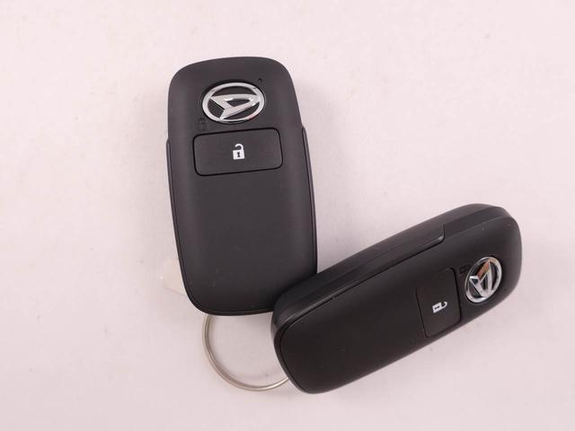 タフトＧ電動パーキングブレーキ　シートヒーター　ルーフレール（愛知県）の中古車
