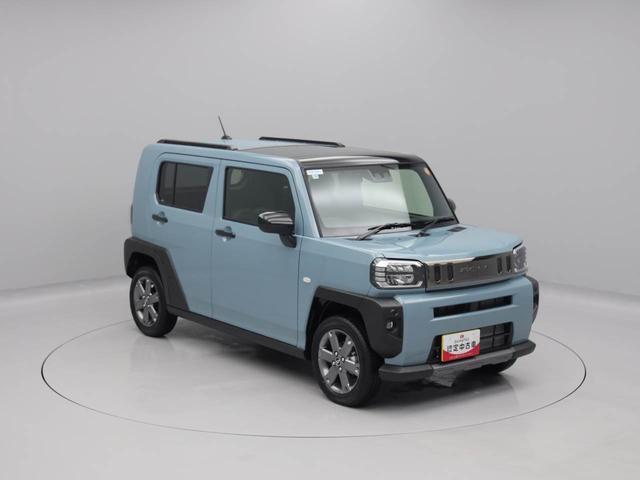 タフトＧ　ダーククロムベンチャー（愛知県）の中古車