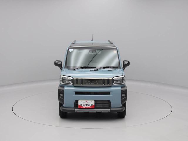 タフトＧ　ダーククロムベンチャー（愛知県）の中古車