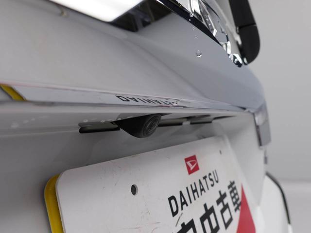 タフトＧターボ　クロムベンチャー（愛知県）の中古車