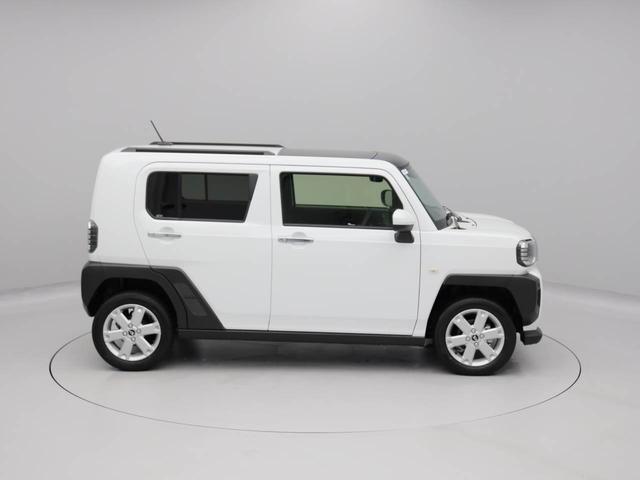 タフトＧターボ　クロムベンチャー（愛知県）の中古車