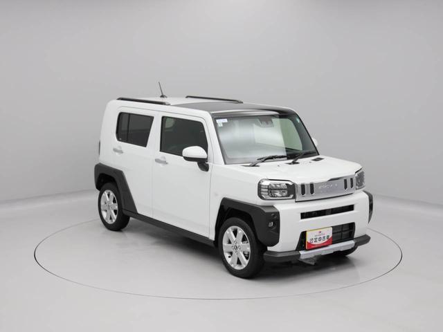 タフトＧターボ　クロムベンチャー（愛知県）の中古車