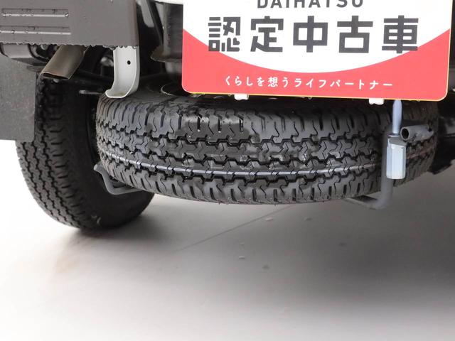 ハイゼットトラックハイルーフ（愛知県）の中古車