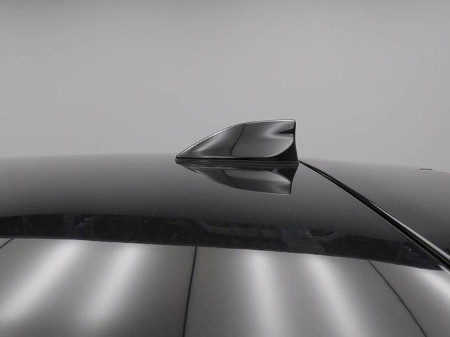 ロッキープレミアム（愛知県）の中古車