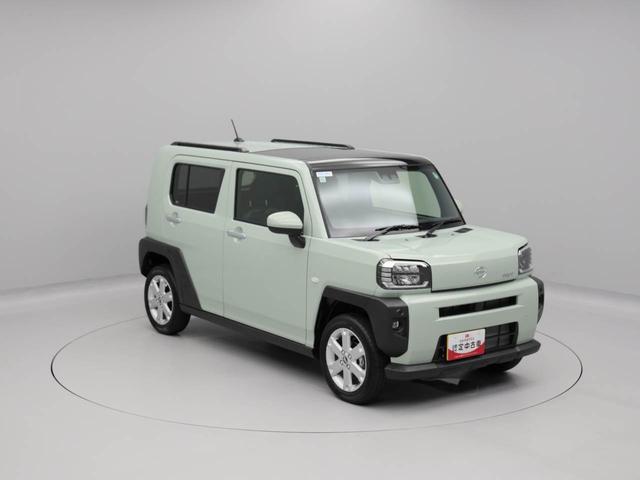 タフトＧ（愛知県）の中古車