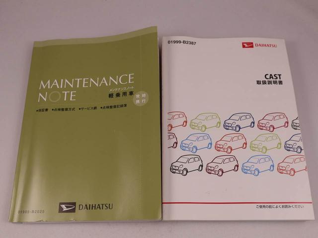 キャストスタイルＧ　ターボ　ＳＡIIカーナビ　ドラレコ　ＥＴＣ　バックカメラ（愛知県）の中古車
