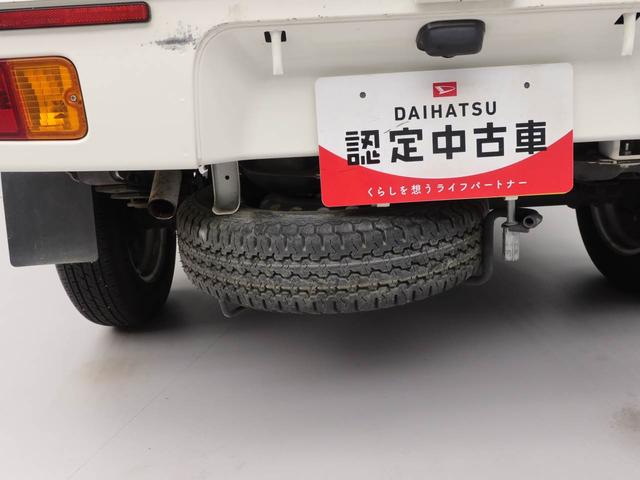 ハイゼットトラックスタンダード　農用スペシャル（愛知県）の中古車
