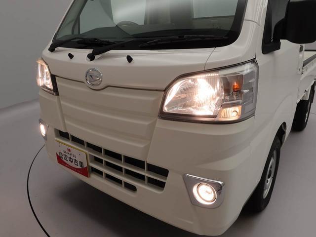 ハイゼットトラックスタンダード　農用スペシャル（愛知県）の中古車