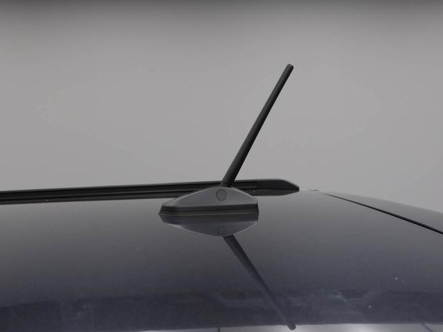 タフトＧ　ＬＥＤヘッドライトオーディオレス　バックカメラ　アイドリングストップ　アルミホイール　プッシュスタート　エアバック　ＡＢＳ　ＣＶＴ　キーフリー（愛知県）の中古車