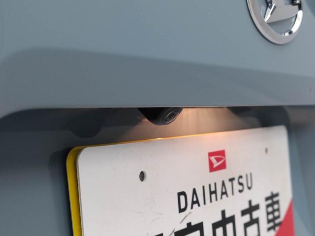 タフトＧキーフリー　ＬＥＤヘッドライト　衝突軽減装備（愛知県）の中古車