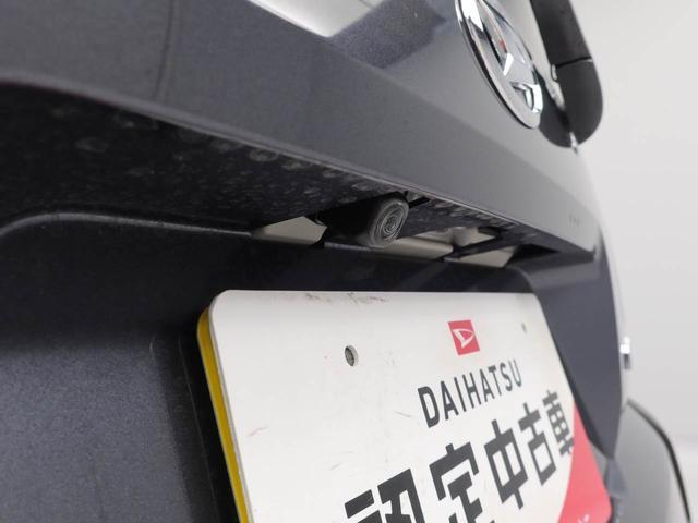 タフトＧキーフリー　バックカメラ　ＬＥＤヘッドライト（愛知県）の中古車