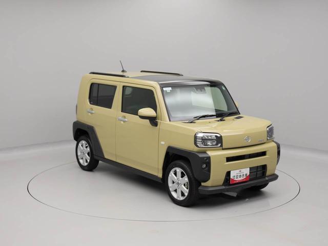 タフトＧ（愛知県）の中古車