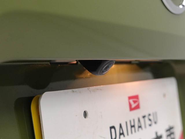 タフトＧ（愛知県）の中古車