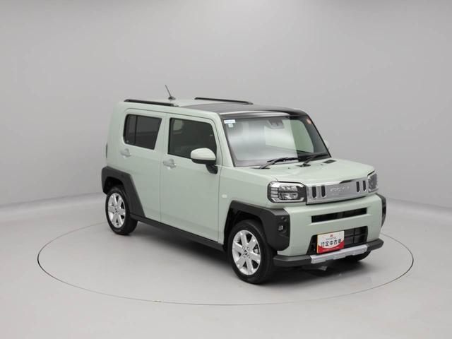 タフトＧ　クロムベンチャー（愛知県）の中古車