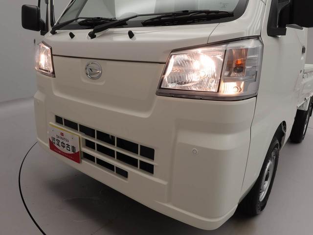 ハイゼットトラックスタンダード（愛知県）の中古車