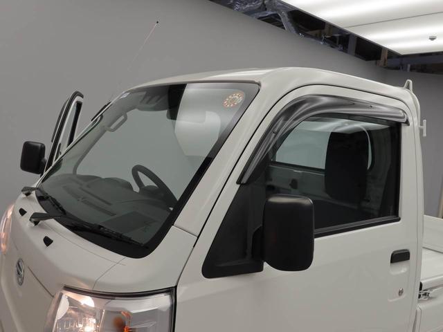 ハイゼットトラックスタンダード（愛知県）の中古車