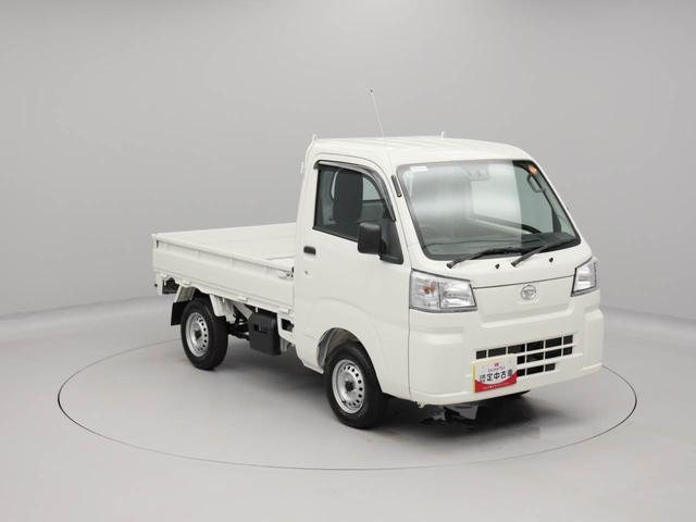 ハイゼットトラックスタンダード（愛知県）の中古車