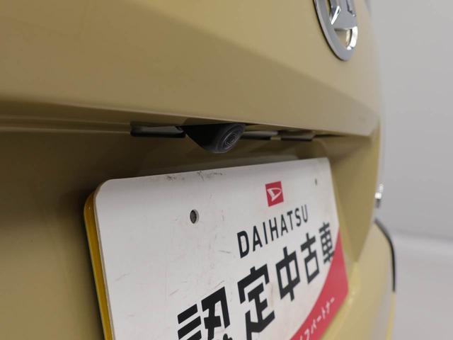 タフトＸ（愛知県）の中古車