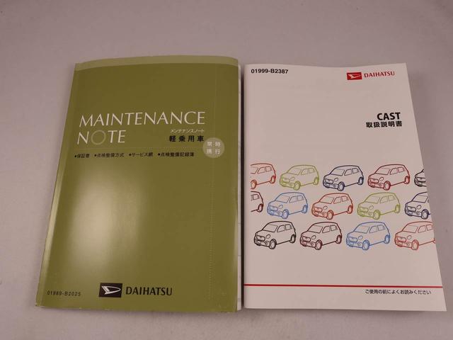 キャストスタイルＸ（愛知県）の中古車
