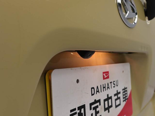 タントＸ（愛知県）の中古車