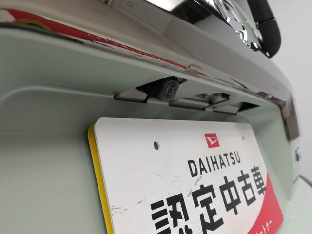 タフトＧ　ダーククロムベンチャー（愛知県）の中古車