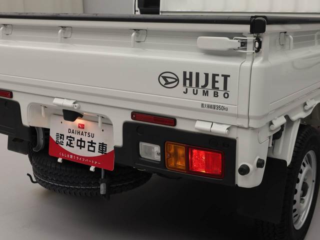 ハイゼットトラックジャンボスタンダード（愛知県）の中古車