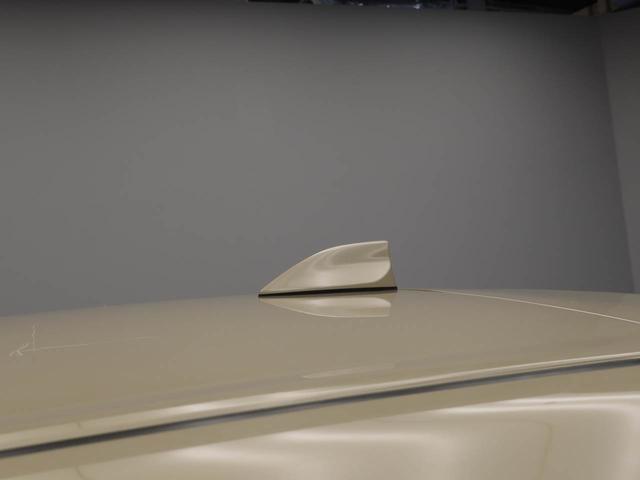 ロッキーＬ（愛知県）の中古車
