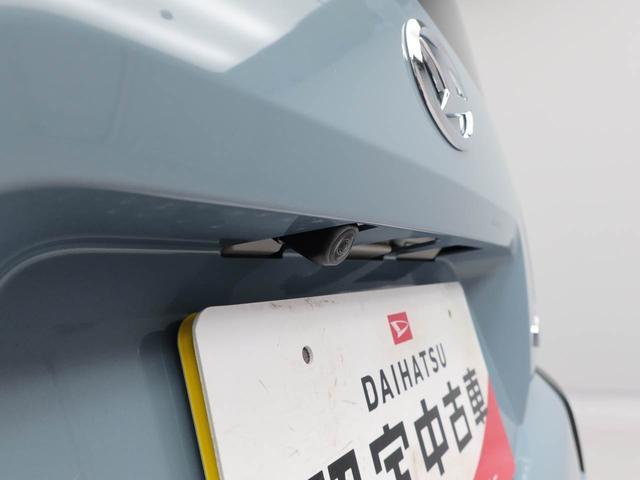 タフトＸ（愛知県）の中古車