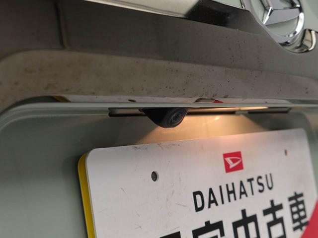 タフトＧ　ダーククロムベンチャー（愛知県）の中古車