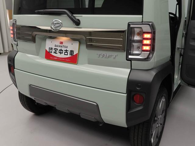 タフトＧ　ダーククロムベンチャー（愛知県）の中古車