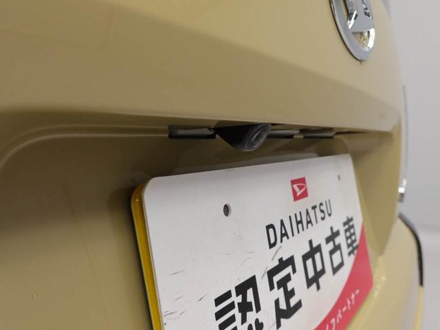 タフトX(愛知県)の中古車