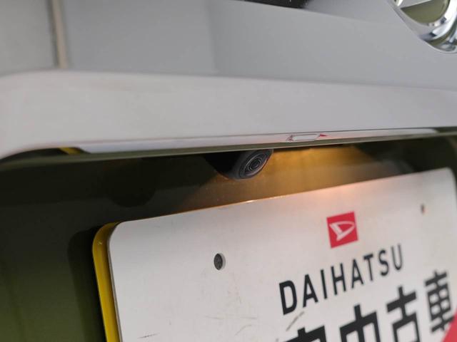 タフトＧ　クロムベンチャー（愛知県）の中古車