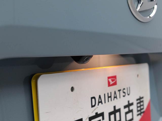 タフトX(愛知県)の中古車