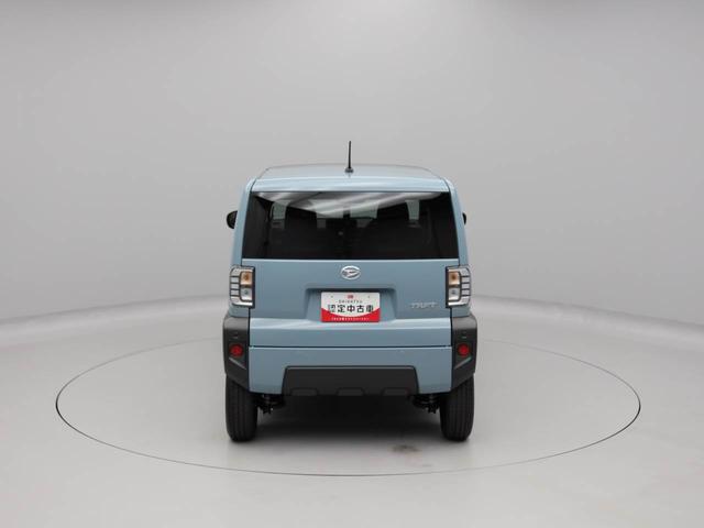 タフトX(愛知県)の中古車