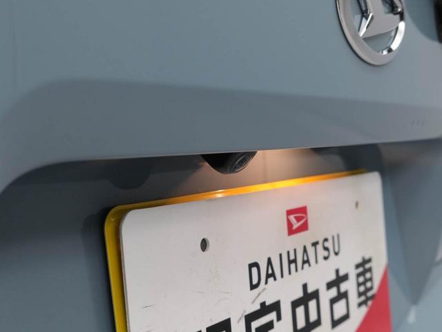タフトG(愛知県)の中古車