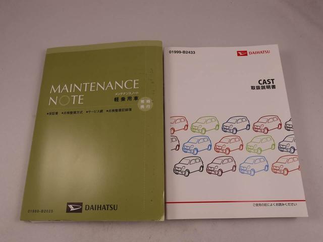 キャストスタイルG SAII(愛知県)の中古車