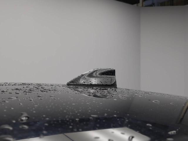 ロッキープレミアムG HEVメモリーナビ パノラマカメラ 衝突軽減装備(愛知県)の中古車
