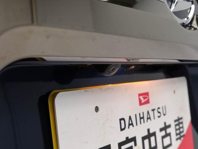 タフトG ダーククロムベンチャー(愛知県)の中古車