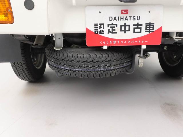 ハイゼットトラックスタンダードSAIIIt(愛知県)の中古車