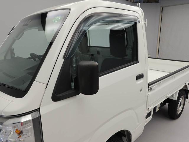 ハイゼットトラックスタンダードSAIIIt(愛知県)の中古車